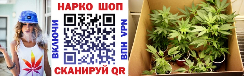 Продажа наркотиков Сим АМФ  МЕФ  Альфа ПВП  Галлюциногенные грибы  КОКАИН  МАРИХУАНА 
