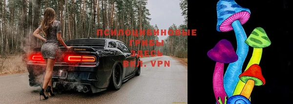 прущая мука Армянск